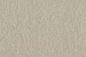 Gach Taicera 30x60 Ha Noi G63522