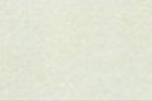 Gach Taicera Ha Noi 60x20 Pc703n