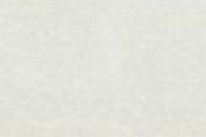 Gach Taicera Ha Noi 60x20 Pc762n