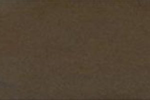 Gach Taicera 30x60 Ha Noi G63911