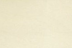 Gach Taicera 30x60 Ha Noi G63913