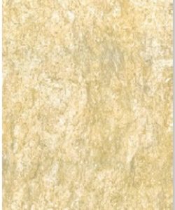 Gach Dong Tam Ha Noi 30x60 Fossil001