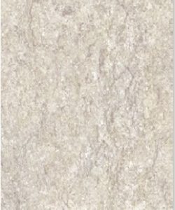 Gach Dong Tam Ha Noi 30x60 Fossil002