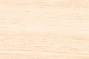 Gach Eurotile Ha Noi 30x90 Luu Thuy Lth D01