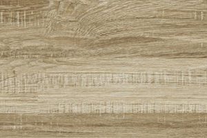 Gach Royal Ha Noi 20x90 R96013