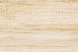 Gach Royal Ha Noi 20x90 R96015