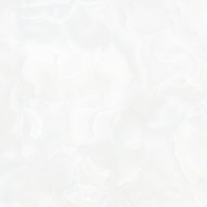 Gach Royal Ha Noi 60x60 606410244