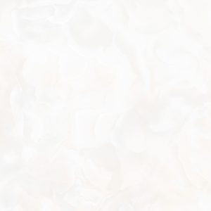 Gach Royal Ha Noi 60x60 606410245