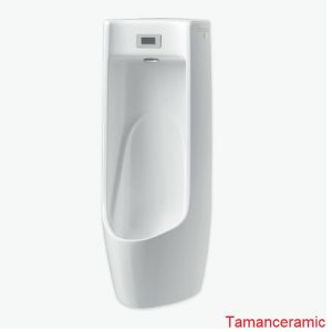 Bon Tieu Nam Inax Asu 500v