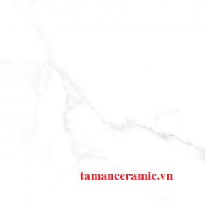 En89005r B