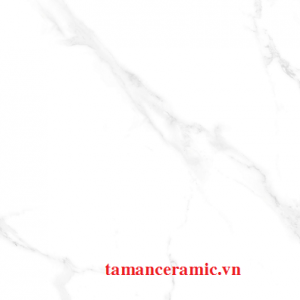En89005r C