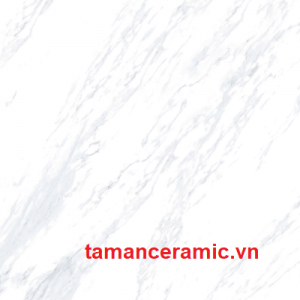 P85023r A