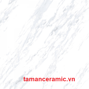 P85023r C
