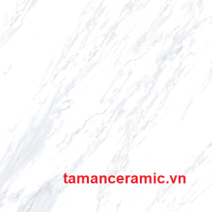 P88023r A