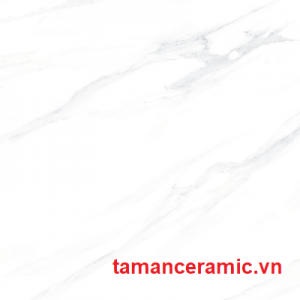 P88073r A