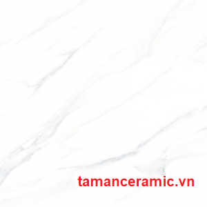 P88073r C
