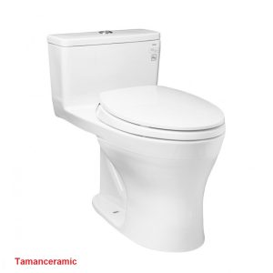 Bon Cau Toto Ms855dt2