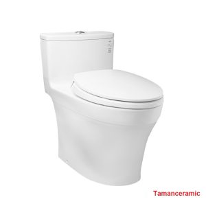 Bon Cau Toto Ms885dt2