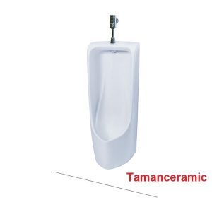 Bon Tieu Nam Toto Ut500t