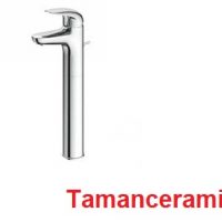 Voi Chau Rua Mat Toto Tls03305v