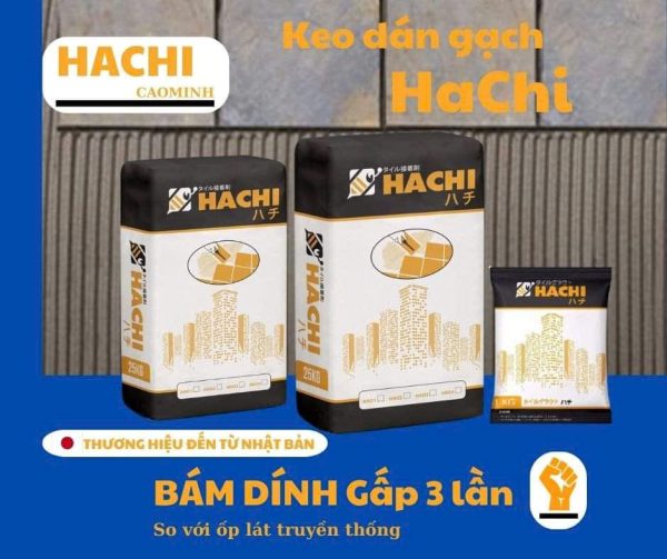 Hachi Cao Minh