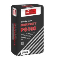 Pg100 2 300x300